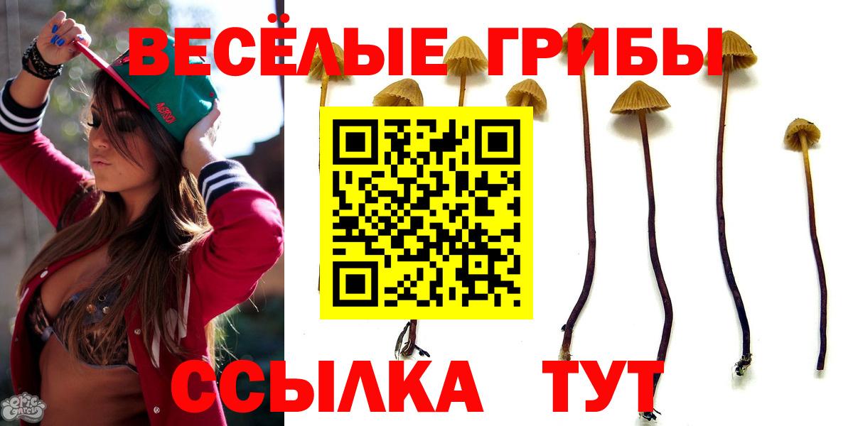 Псилоцибиновые грибы ЛСД Фролово